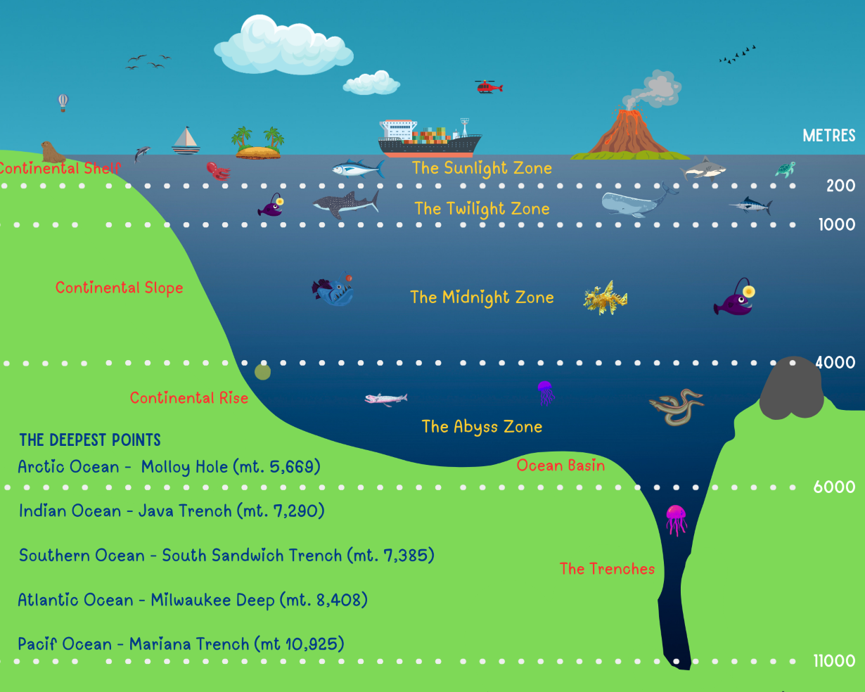 Infographic: Ocean Depths
