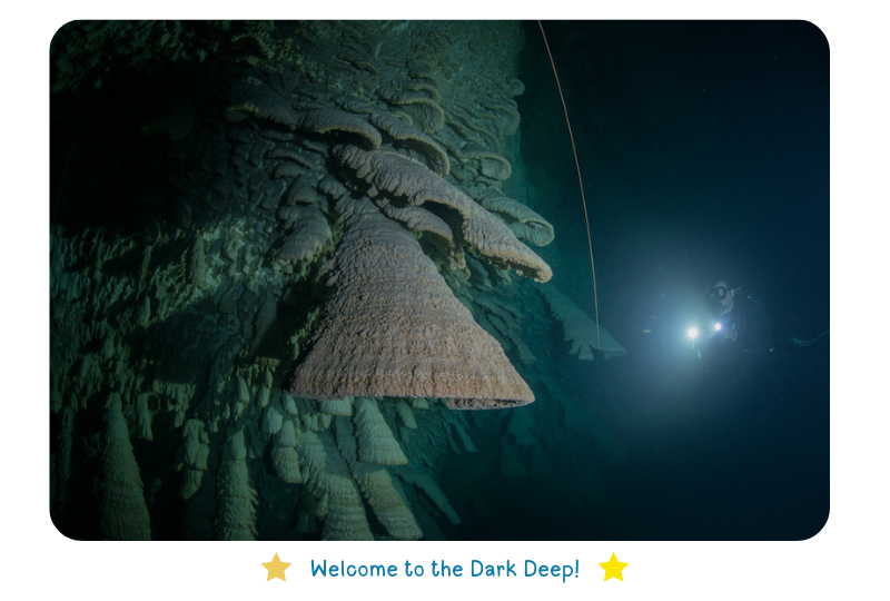 Photo: The Dark Deep