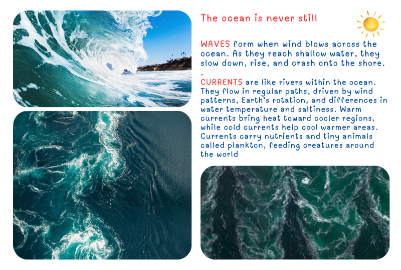 Photo: Waves and Currents